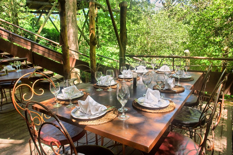 Dining Table Under Trees, Stellenbosch, Cape Town