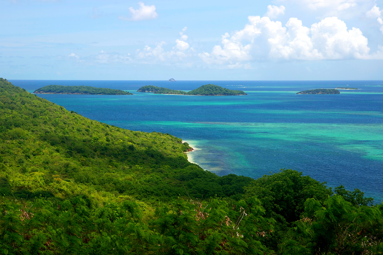 The Grenadines Islands Caribbean Island Chain Tobago Cays Saint Vincent