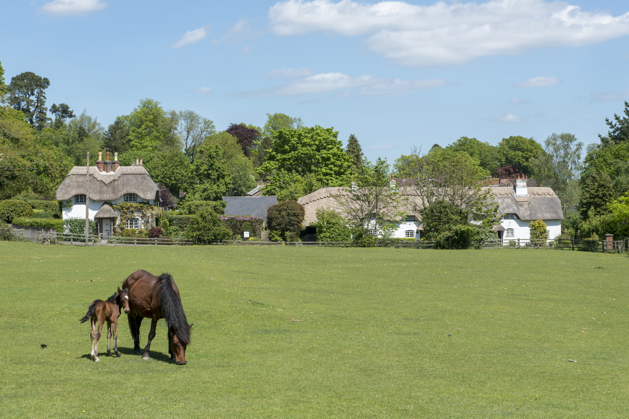 Pony and foal at Swan Green, Emery Down in the New Forest National Park, Hampshire, England, United Kingdom. With a backdrop of thatched cottages, in summer.