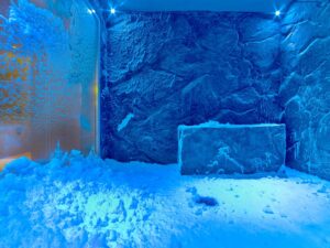 Viking Star Spa Snow Room