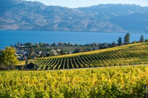 Okanagan Lake