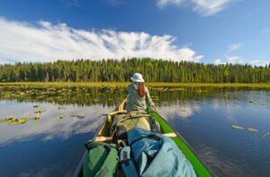 Sunny Day in the Wilderness, Alaska