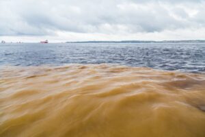 Meeting of Waters in Manaus, Brazil