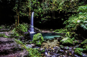 Emerald pool Morne Trois Pitons National Park located in Dominica.