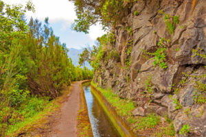 Along the Levada, Madeira