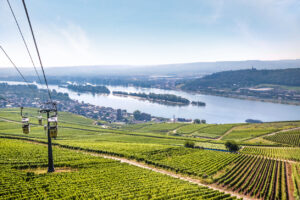 View on Ruedesheim in the Rheingau, Hesse, Germany