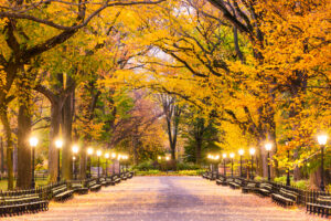 Central Park in New York City