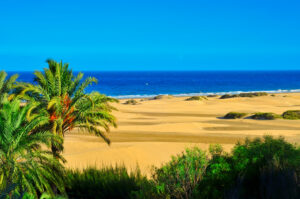 a view of the Natural Reserve of Dunes of Maspalomas, in Gran Canaria, Canary Islands, Spain